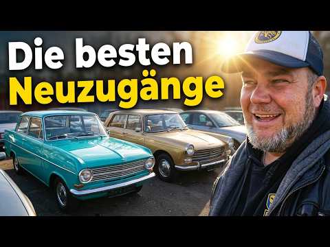 Neue Schätze Auf Dem Hof Die Besten Neuzugänge