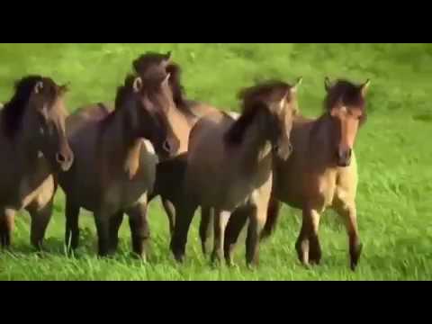 اجتمع جمال الصوت مع جمال المنظر