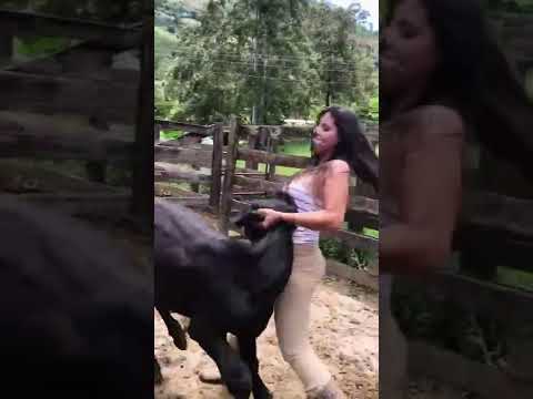 شجاعة دكتورة بيطرية