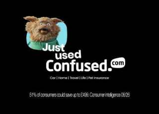  Just Used Confused Feels Like The Cat That Got The Cream 10s