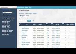 The Video Demonstrates How To Instal And Use ARI Adminer WordPress Plugin