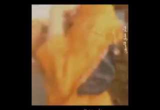 يا قبلة روحي