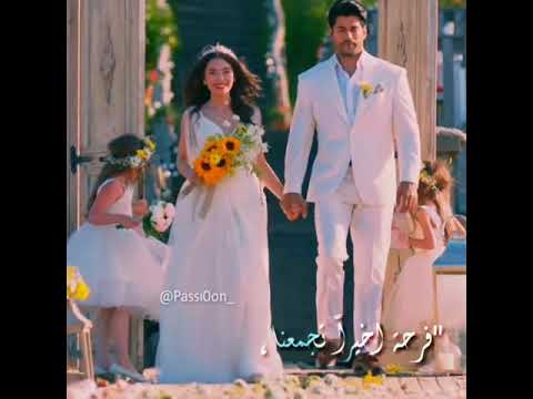 اغنية فرحه لمحمود العسيلي حالات واتس رومانسيه