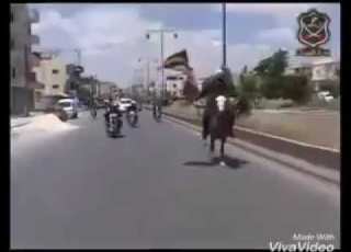  حالات وتس اب الموحدون الدروز