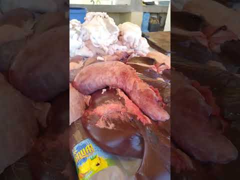 أشهر بائع الدوارة الجزار محمد