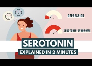 Serotonin Neurotransmitters Explained