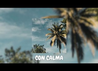  CON CALMA SLOWED REVERB Daddy Yankee Snow