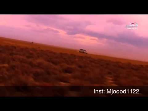 انتهاض سهيل عبدالرحمن ال نجم