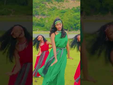 OROMO ETHIOPIA MUSIC SHAGOYE HARARGE Eth Music Duet Visionentertainment4507