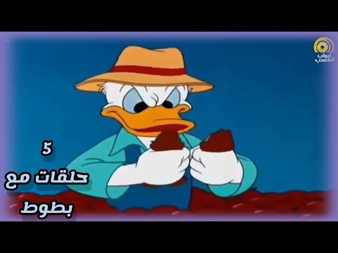 خمسة حلقات من بطوط كرتون أطفال بدون موسيقى HD