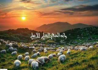  الله ربنا هوالاله بصوت جديد