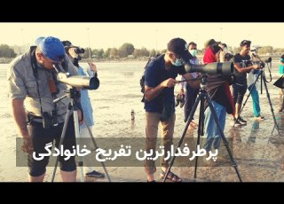  پرطرفدارترین و گران ترین گردشگری پرنده نگری