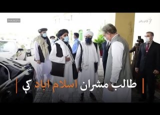 قریشي له طالبانو سره وکتل