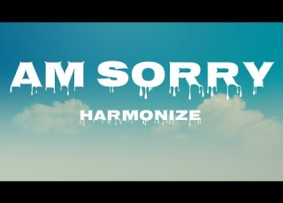  Harmonize Am Sorry Official Lyrics Video