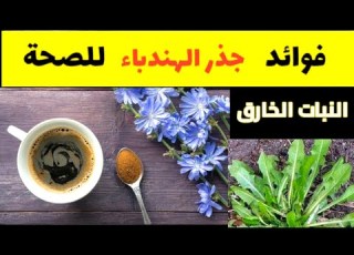  Coffee Alternative Amazing Benefits Of Dandelion Root For Liver Kidneys And Diabetes