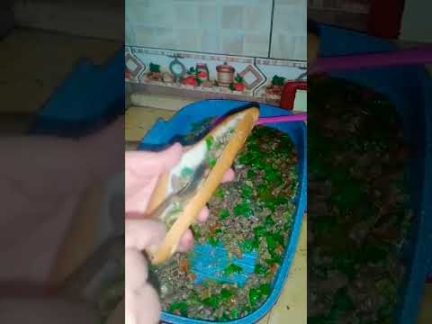 كبده اسكندراني Shorts