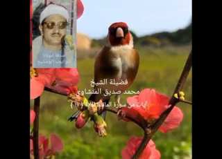 لقد كفر الذين قالوا إن الله هو المسيح ابن مريم سورة المائدة الآية ١٧ الشيخ محمد صديق المنشاوي