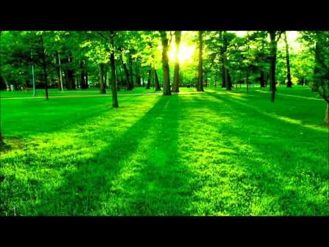 The Masterpiece Of Recitation Is By Sulaiman And It Is In The Name Of God The Most Merciful The Masterpiece Of Recitation Is By Sulaiman And It Is In The Name Of God The Most Merciful