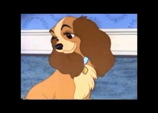 Opening And Closing To Lady And The Tramp 1987 VHS