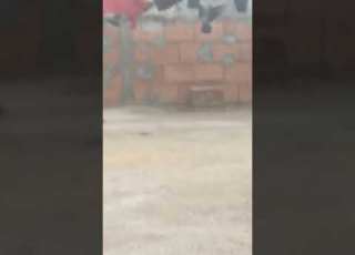 حمام وهران