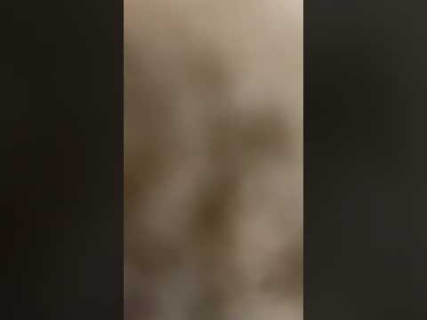 صلاة الفجر القارئ عبدالسلام العابيدي صلاة الفجر القارئ عبدالسلام العابيدي