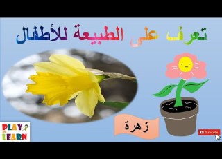 تعرف على الطبيعة للأطفال