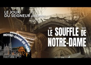 Le Souffle De Notre Dame Le Retour Du Grand Orgue