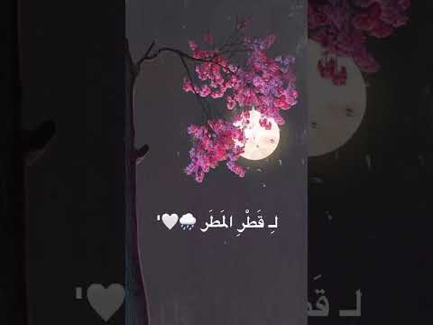 كشوق الليالي لضوء القمر بطىء