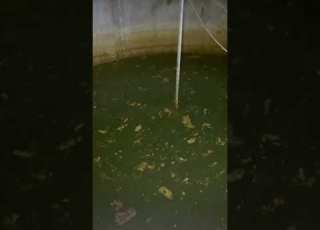 Abandoned Sulfuric Acid Factory Factory Viral Urbex Abandoned Shorts Explore Reels