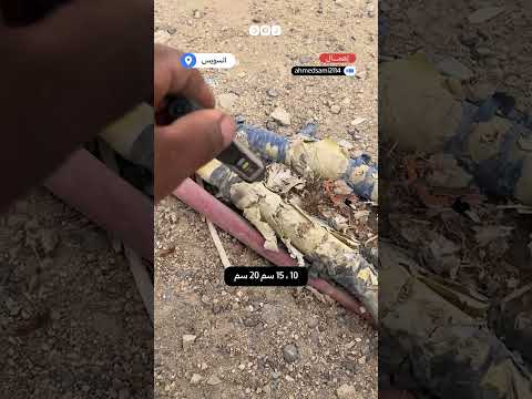 شاب يرصد كابل كهرباء مكشوف في الشارع ويعمل على تأمينه لحماية الأطفال والمارة