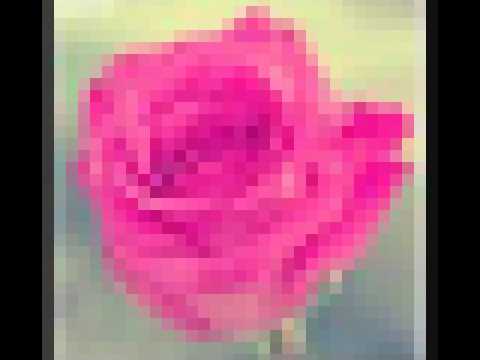 انشودة حلوة الاحساس