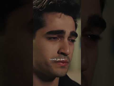 فضل شاكر معقول مانعود حباب