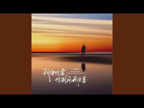 我给你爱你别把我伤害 DJ阿尼版伴奏