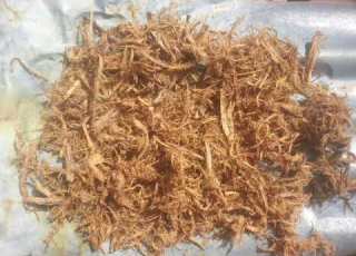 Maajabu Ya Mgalula Kumvuta Mtu Akiwa Mbali 0693181533