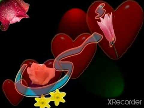 امي ثم امي دخل تفرج