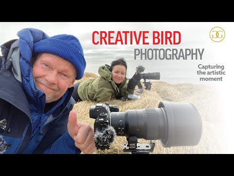 KREATIVE VOGELFOTOGRAFIE Künstlerische Momente Festhalten KREATIVE VOGELFOTOGRAFIE Künstlerische Momente Festhalten