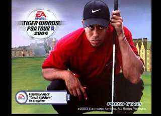 Tiger Woods PGA Tour 2004 PlayStation 2 Golf Bethpage Black Mulligan Scotland Penguin Falls Music