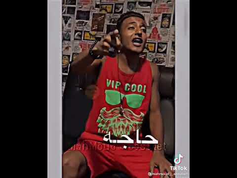 انا ابويا قال لي هتعيش اسد هتسوق يا تاكل يتاكل في كتالوج الحياه