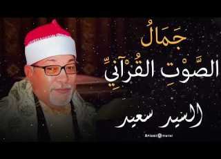  الشيخ السيد سعيد بتلاوة خاشعة تشع نور ا في القلب وتغمر النفس بالسكينة والرضا