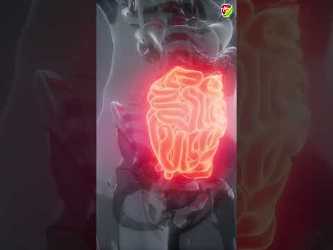 فوائد بلع الثوم على الريق لن تصدق