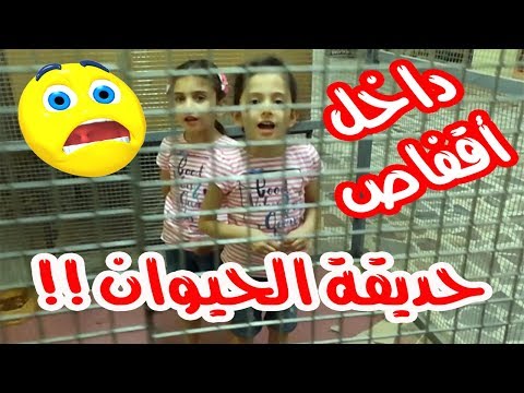 تحذير يمنع المشاهدة لأصحاب القلوب الضعيفة