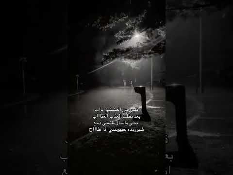 حبيبي دمعتي بعيني مسرع اغاني عراقية قلبي من العشق تاب مسرعه اغاني سيف نبيل مامرتاح سريع