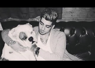  Zayn Calamity Video