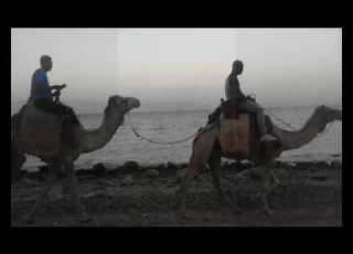  ابوجالوم بالجمل Dahab Sinai Egypt دهب سيناء مصر
