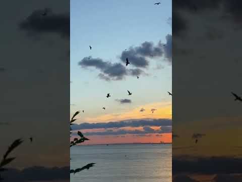 و س يق ال ذ ين ات ق و ا ر ب ه م إ ل ى ال ج ن ة ز م ر ا Quran تلاوة خاشعة حسين عزام