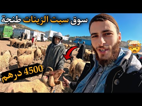 347 أثمنة الحولي عيد الأضحى في سوق سبت زينات طنجة بتاريخ 28 03 2026