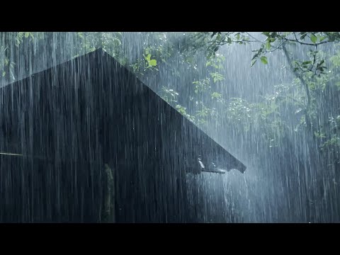 Sleep Instantly Within 3 Minutes With Heavy Rain Thunder On Ancient House In Foggy Forest At Night