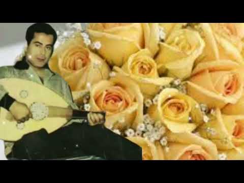 ست الحبايب فريد الاطرش