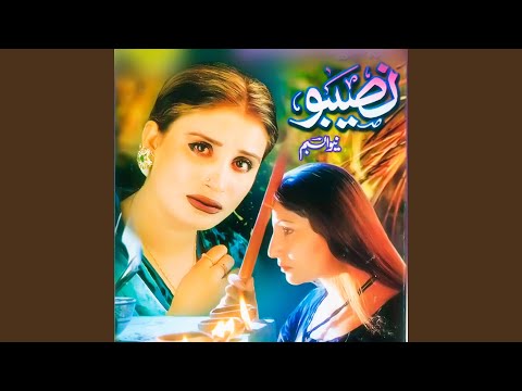 Tenu Bhul Gaye Yaar Puraney