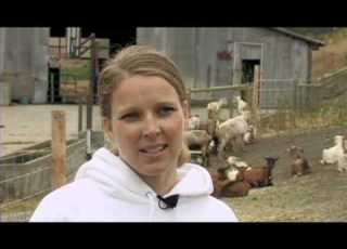 Farm Report Toluma Farms